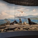 땅끝해양 자연사박물관 이미지