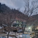 시골길펜션 | 무주 여행 숙소 및 맛집 후기 (시골길 펜션, 구천동맛집, 임실수타피자필 피자)