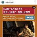[태백/삼척] 0. 소도시 트래블..?