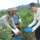 동준농장 이미지