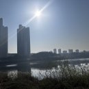 김화스포츠 이미지