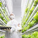 연암농장2 이미지