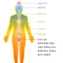 마음수련건강관리