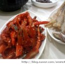 바다보기 이미지