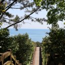 중문색달해수욕장(모래사장끝) 이미지