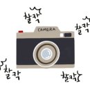 불후의 명곡 팝송영어 네이버블로그