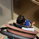 썬라이너 | 2 헤리티지 블랙에 더스티핑크 캐노피(영국 직구)+시트라이너(국내) 조합 후기! 딸맘 유아차 변신 🌸🤍
