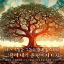아모스9 티스토리