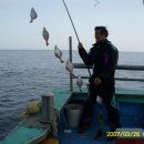 항구낚시터 이미지