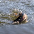 한터낚시터 이미지