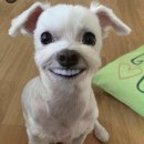 현대수산사료 | 두쫀쿠(만큼 쫀득한)일상;;ㅎ