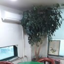 산호동288 이미지