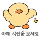 카운드리