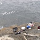 대삼부도