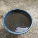 엘지약국 이미지