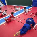 용인대 영광태권도 | 금광동태권도 아이도 엄마도 행복한 곳