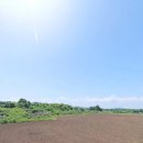 코스모스부동산중개 이미지