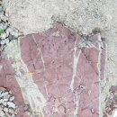 모텔행복비치 이미지