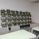 일산도서관 이미지