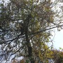 무열농장 이미지