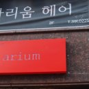 아리움헤어 이미지