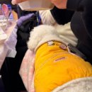 나연이네식당 이미지