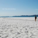 하얀천국 이미지