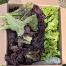 병영경로식당 이미지