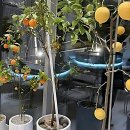 대성산업(주)낙동강주유소 | 부산 베이커리 카페 정착지 찾았습니다