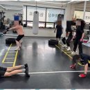 퍼블릭 복싱 이미지