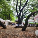 내서 삼풍대공원 이미지