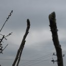 판석농장 이미지