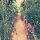 원평목장 이미지