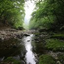 절골공원 이미지