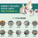 땅끝농협