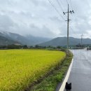 글쓰기를 위하여 이미지