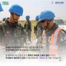 한빛 행정사 이미지