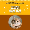 아이맘동물의료센터 이미지