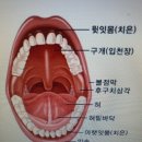 靑松 건강칼럼 (808)... 구강건조증과 口腔癌 이미지