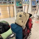 Bon Voyage 음악으로 떠나는 세계여행 | 호주 3개월 여행 :: '인천→브리즈번(ICN-BNE) 젯스타 JQ 054' 기내식+좌석 총정리 이용 후기