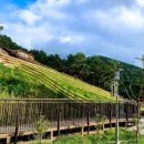 순수목장 이미지