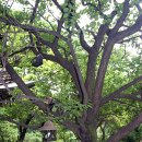 새소리 물소리 이미지