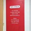 순진한 강아지 | 동물자유연대 온캣 경기도 길냥이 고양이 묘사 보호시설 봉사활동 후기, 후원계좌 안내