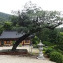 영원사석조약사여래좌상 이미지