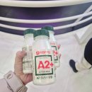 서울우유 | 양주 서울우유 공장 견학 신청방법 기념품 후기