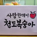싱그러운청도로(여름) 이미지
