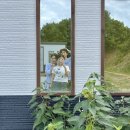 스테이700 이미지