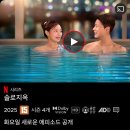 솔로지옥4 달글 이미지