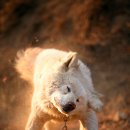 여울산장 이미지