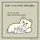 강아지삼촌 이미지